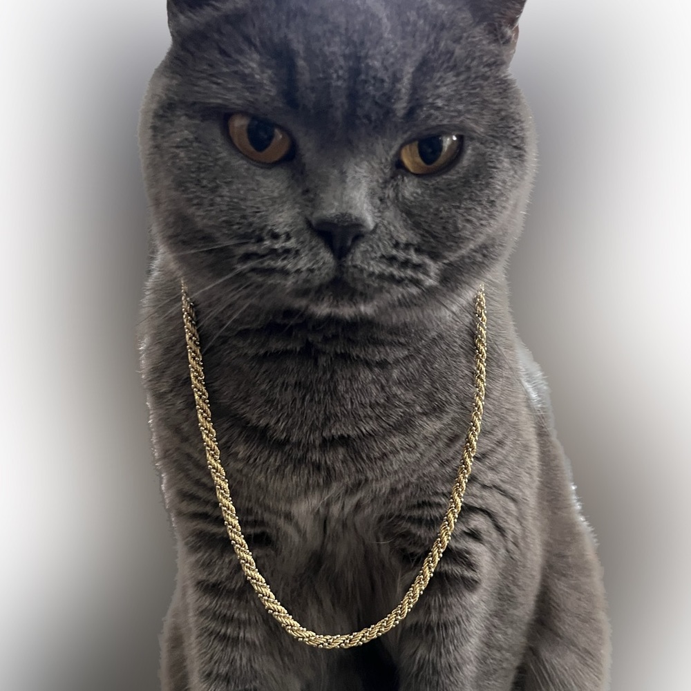 💫HOST PICK💫 10K SOLID GOLD double strand necklace - 3.7 mm.